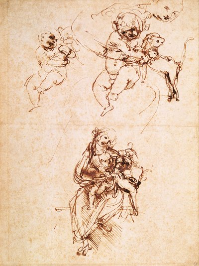 Studies for a Madonna with a Cat by Leonardo da Vinci